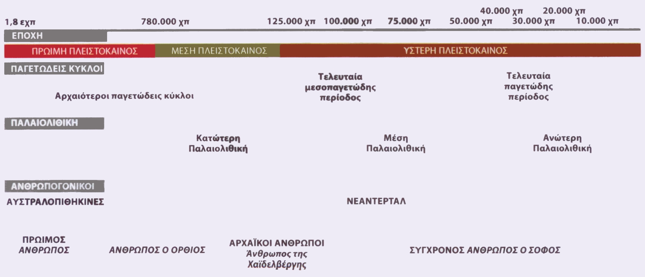 Οι Νεάντερταλ: οι αρχαϊκοί άνθρωποι της Ύστερης Πλειστοκαίνου Τα απολιθώματα των Νεάντερταλ χρονολογούνται έως και 130.