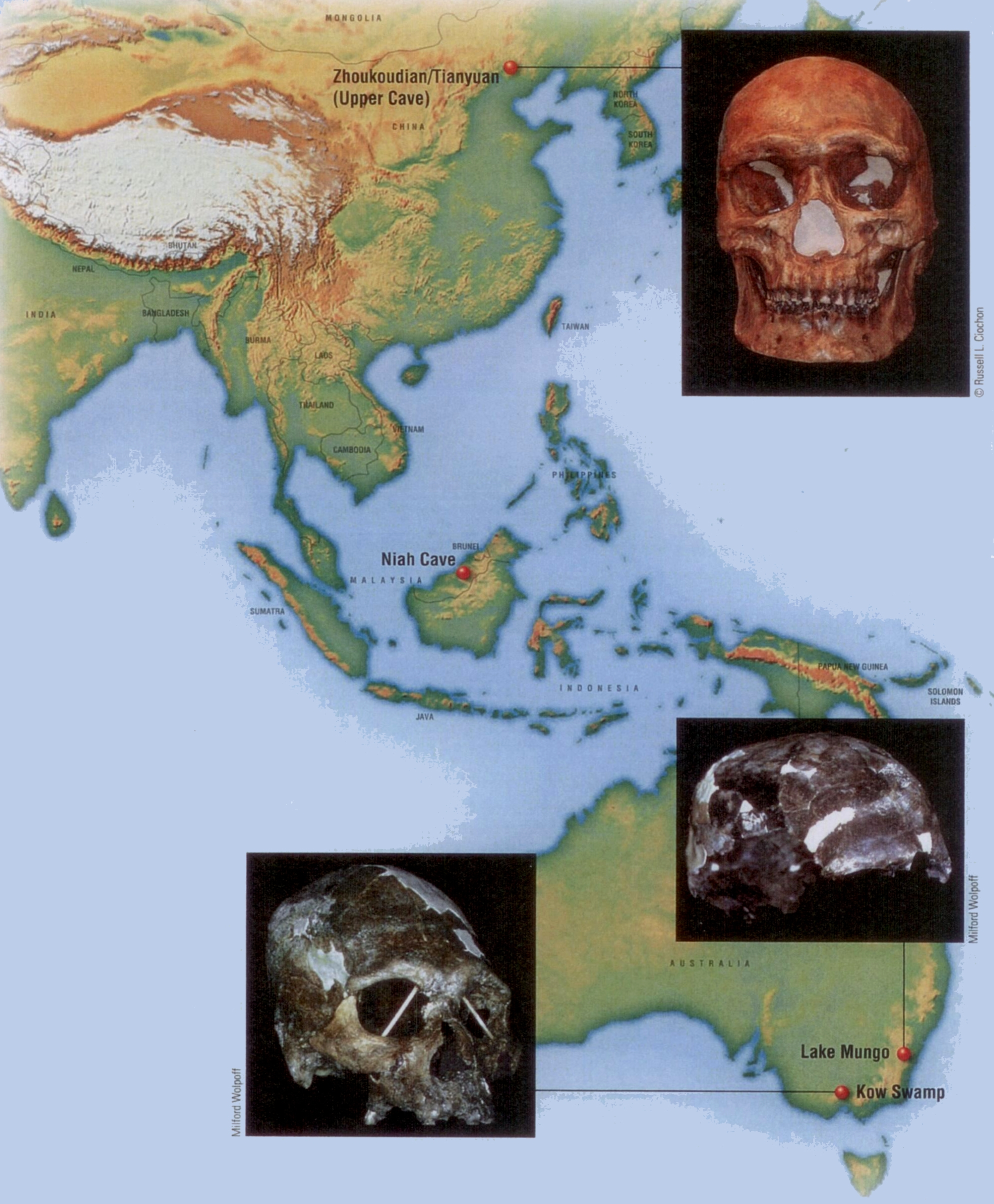 Τα κυριότερα απολιθώματα του ανατομικά σύγχρονου Σοφού Ανθρώπου: Ασία Χρονολογία 45.000-40.