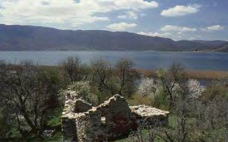2. Άγιοσ Δθμιτριοσ Ο μικρόσ ναόσ του Αγίου Δθμθτρίου ςτα ΝΑ τθσ βαςιλικισ χρονολογείται ςτον 14 ο αιϊνα.