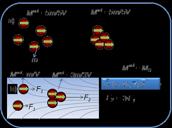 περισσότερους πυρήνες) αναμένεται να έχουν και παρόμοια M s (Εικόνα 2.8a). Όταν όμως εξετάζονται μαγνητικά κολλοειδή εντός βαθμίδων μαγνητικών πεδίων, η κίνηση τους περιγράφεται από την Εξίσωση 2.