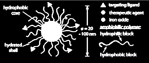 Εικόνα 1.33: Σχηματική απεικόνιση έμμεσης επιφανειακής τροποποίησης μαγνητικών νανοσωματιδίων, μέσω εγκλωβισμού τους σε πολυμερικά μικκύλια [56]. 1.7.