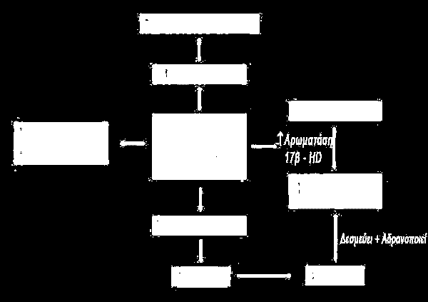 ιστού και της αύξησης της γλυκόζης ορού, με διάφορους μεταβολικούς παράγοντες για την επανεμφάνιση του καρκίνου του μαστού. Εικόνα 3. Λιπώδης Ιστός & Γλυκόζη ορού (21) 4.