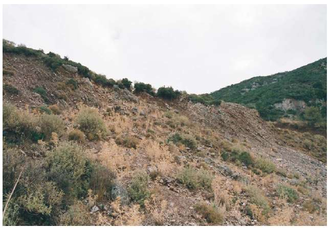 Εικόνα 7: Χαρακτηριστική εμφάνιση σχιστοκερατολίθων στα βόρεια όρια της κατολίσθησης Καρυάς (Φωτακοπούλου, 2008) Ασβεστόλιθοι του Ανώτερου Κρητιδικού Αποτελούν τεκτονικά καταπονημένους σχηματισμούς