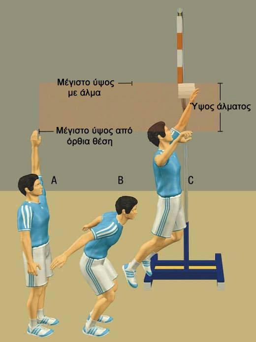 Κινητικά test Άλμα σε ύψος από στάση (Jump-and-Reach Test) Περιγραφή του test Ο παίκτης/τρια στέκεται όρθιος δίπλα στον τοίχο σε πλάγια θέση και τεντώνει προς τα πάνω το χέρι που βρίσκεται πιο κοντά