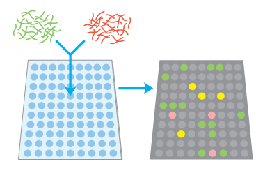 Microarrays 1/2 Aρχές Λειτουργίας Εφαρμογές Χρησιμοποιείται για τον έλεγχο (ποιοτικό ή/και ποσοτικό) της έκφρασης μεγάλου αριθμού γονιδίων καθώς και για την μικροβιακή ποικιλότητα ενός