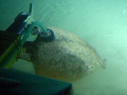 572 8ο Πανελλήνιο Συμποσιο Ωκεανογραφίας & Αλιείας Εικόνα 1. Ανέλκυση σαυρωτήρα με τον βραχίονα του ROV.