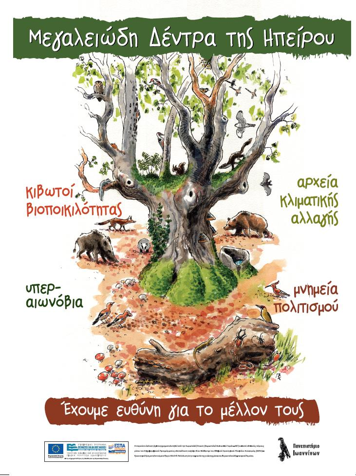 Εκπαιδευτικά υλικά Τα αιωνόβια δέντρα, οι αξίες