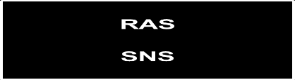 Compensatory mechanisms of action of CCBs, Diuretics and RAS blockers on vascular and renal function, SNS activity and RAS