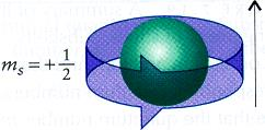 Μαγνητικός κβαντικός αριθμός του spin (m s ) Ο μαγνητικός κβαντικός αριθμός spin m s, παίρνει τιμές +1/ ή