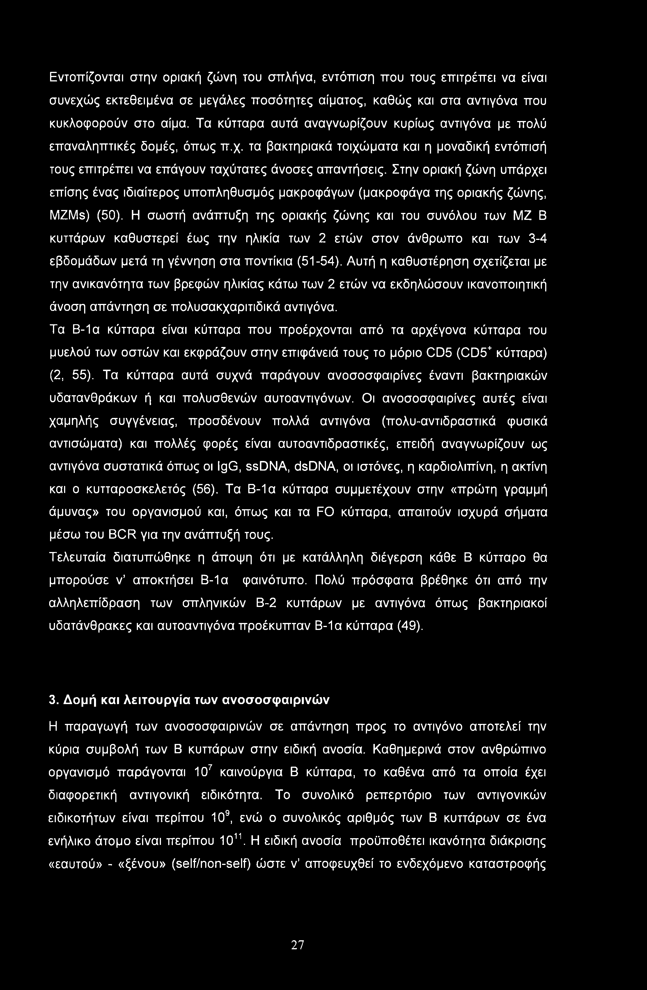 Εντοπίζονται στην οριακή ζώνη του σπλήνα, εντόπιση που τους επιτρέπει να είναι συνεχώς εκτεθειμένα σε μεγάλες ποσότητες αίματος, καθώς και στα αντιγόνα που κυκλοφορούν στο αίμα.