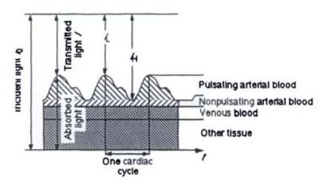 ΚΕΦΑΛΑΙΟ 8 Σχήμα 8.3: απορροφούμενο και μεταδιδόμενο φως σε έναν ιστό ζωντανού οργανισμού. Το ποσό του φωτός που απορροφάται σχετίζεται με τους παλμούς του αρτηριακού αίματος.