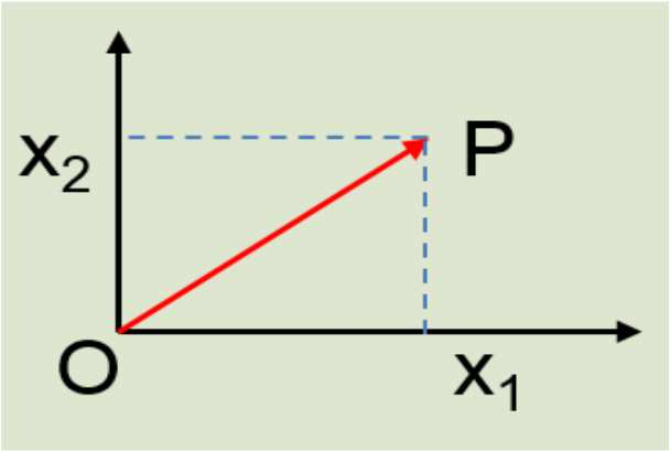 ιάνυσµα θέσης σηµείο (1/2) Σηµείο στο επίπεδο Σηµείο στο χώρο P x 3 = x= x 1 x 2 όπου x 1, x 2 οι συνιστώσες O x= x 1 x 2 x 1 x 2 x 3 x = OP του