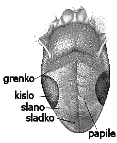 razporeditev po jeziku ni naključna, temveč so razporejeni po določenih območjih.
