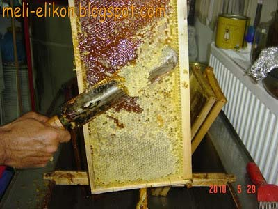 Τρύγος μελιού Τρύγος είναι η αφαίρεση του μελιού από σφραγισμένες κηρήθρες με ώριμο μέλι.