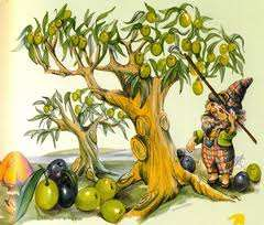 Γνωριμία με το δέντρο Η ελιά είναι ένα αειθαλές αιωνόβιο δέντρο, που ανήκει στην οικογένεια των ελαιοειδών Ο κορμός της νεαρής ελιάς είναι λείος και σταχτοπράσινος.