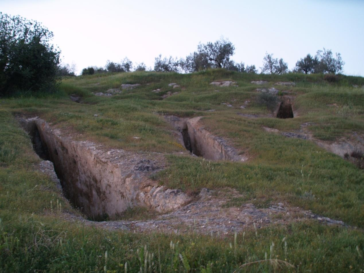 Άποψη του νεκροταφείου των