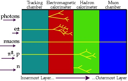 Αλληλεπίδραση σωματιδίων με διάφορα είδη ανιχνευτών Εσωτερικοί ιχνηλάτες Θερμιδόμετρα: ηλεκτρομαγνητικό, αδρονικό Εξωτερικοί