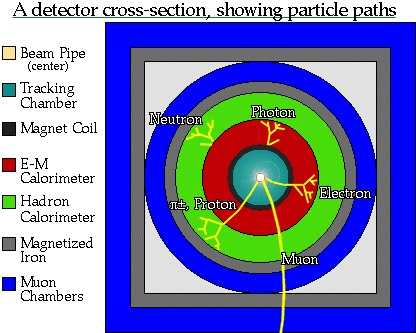 Αλληλεπίδραση διαφόρων σωματιδίων με διάφορα είδη ανιχνευτών Η θέση των διαφόρων τύπων