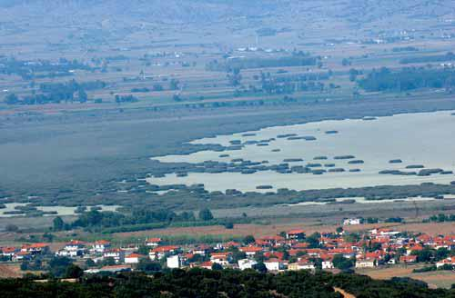 αποξηρανθεί (Ντότα, 2008).