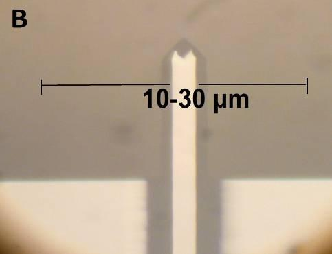 nm) (εικόνα 18Γ) που επιτελεί τθ διαδικαςία τθσ ςάρωςθσ. Ο βραχίονασ και θ ακίδα είναι καταςκευαςμζνα από πυρίτιο (Si).