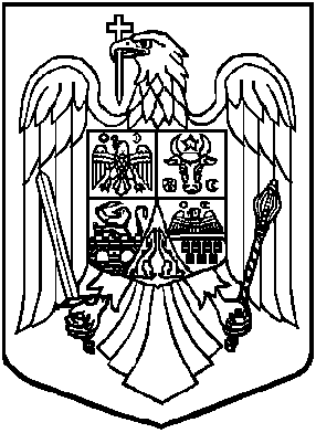 PARLAMENTUL ROMÂNIEI CAMERA DEPUTAŢILOR SENATUL L E G E pentru alegerea autorităţilor administraţiei publice locale, pentru modificarea Legii administraţiei publice locale nr.