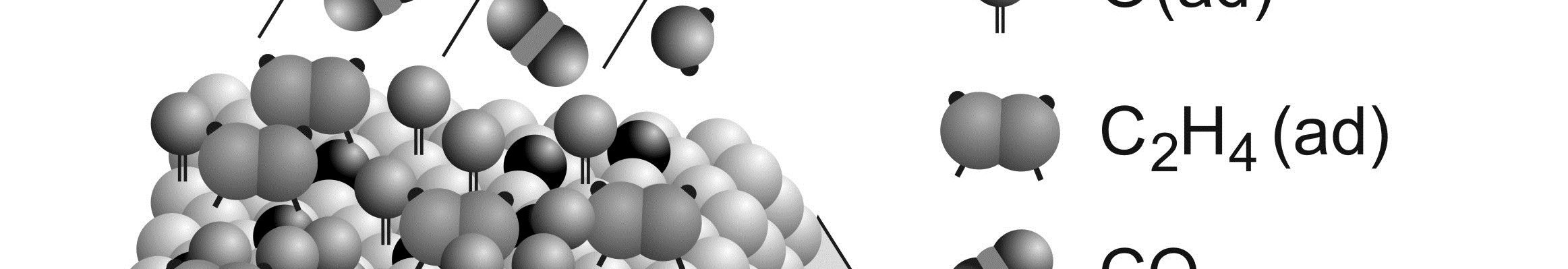reactants (e.g.