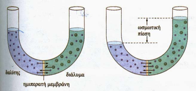 ΚΕΦ.1: 1.