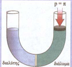 το πυκνότερο ΩΣΜΩΤΙΚΗ ΠΙΕΣΗ (Π) διαλύματος που χωρίζεται με ημ.
