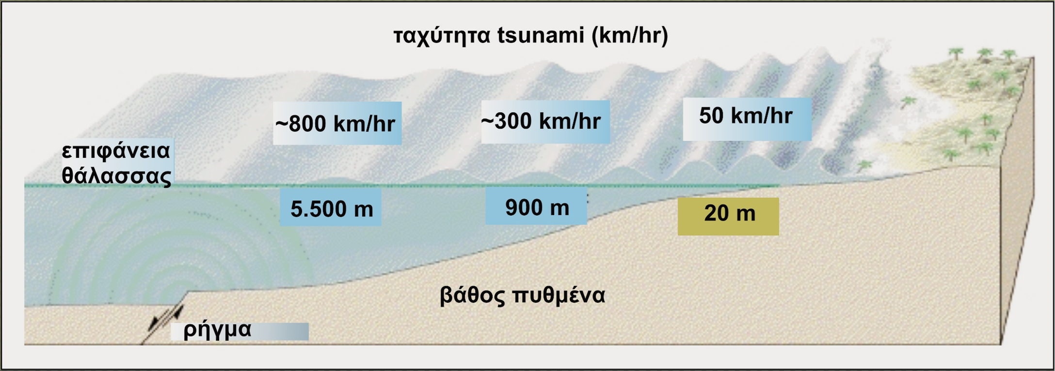ΘΕΜΑ 4: Επιπτώσεις-Μακροσεισμικά Αποτελέσματα Στην περιοχή γένεσής τους τα τσουνάμι έχουν μικρά πλάτη και οι ταχύτητες διάδοσής τους είναι μεγάλες.