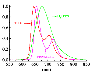 Φθορισμός που προκύπτει από το τετρα-ανιόν μιας πορφυρίνης (TPPS, 646 και 704 nm), το αντίστοιχο διπρωτονιωμένο διανιόν του (Η 2 TPPS) καθώς και του «συμπλόκου» της πορφυρίνης με