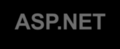 ASP.NET Microsoft Active Server Pages.NET H ASP.