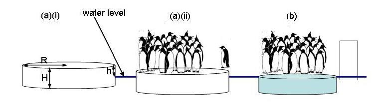 ΑΣΚΗΣΗ Κυλινδρικό κομμάτι πάγου (ρ πάγου = 900 kg/m 3 ) με ακτίνα κυκλικής διατομής R = 2.0m και ύψος H = 20cm επιπλέει σε θαλάσσιο νερό πυκνότητας ρ θαλ. = 1030 kg/m 3.