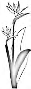 Toll free: 1-800-267-5961 www.infullbloomflorist.