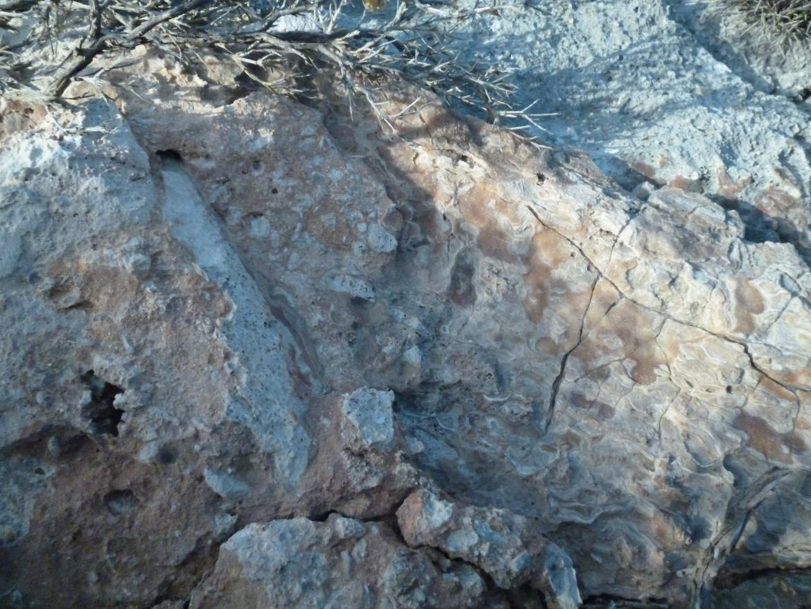 Αποτελείται, κυρίως, από κλασικά ιζήματα χωρίς ηφαιστειακά πετρώματα στη βάση, που εξελίσσονται σε τυπικούς πλακώδεις ασβεστόλιθους, που περιέχονται σε σημαντικό βαθμό