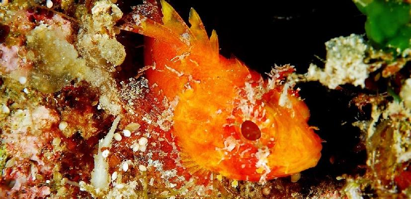 Η ΖΩΗ ΣΤΗΝ ΞΕΡΑ (ΦΩΤΟ: Δ. ΣΤΡΑΤΟΣ) Οι τουρίστες που επισκέπτονται τα πάρκα είναι τριών ειδών.
