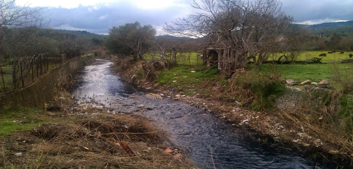 Εικόνα 5.3: Μικρός ποταμός με έντονη ρύπανση από κατσίγαρο Τα απόβλητα περιέχουν επίσης μια σημαντική ποσότητα τροποποιημένων σακχάρων.