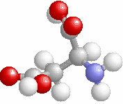 µεταβολισµός (metabolism).