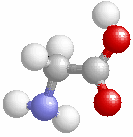 04293 H2N-CO-CH2- CH(NH2)-COOH Ασπαρτικό οξύ Aspartic acid D 115.