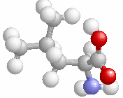 COOH Ισολευκίνη Isoleucine I