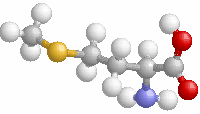 CH(NH2)-COOH Λυσίνη Lysine K