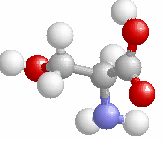 Phenylalanine F 147.