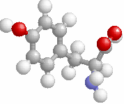 Τυροσίνη Tyrosine Y 163.06333 HO-p-Ph-CH2- CH(NH2)-COOH Βαλίνη Valine V 99.06842 CH3-CH(CH2)- CH(NH2)-COOH Πίνακας 2.1: Τα 20 αµινοξέα.