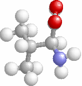 Το δεοξυριβονουκλεϊκό οξύ (deoxyribonucleic acid), ή συντοµότερα DNA ανήκει στην κατηγορία των νουκλεϊκών οξέων και είναι ο βασικός φορέας πληροφορίας σε ένα κύτταρο.