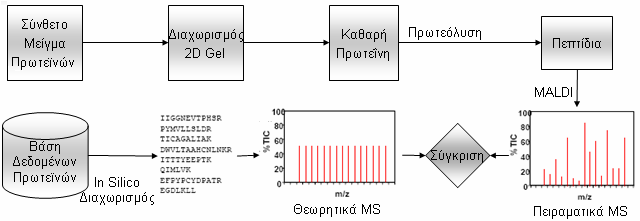 matches γίνονται. Ένα αποδεκτό εύρος λάθους µε τα δεδοµένα MS εργαλεία που υπάρχουν είναι 0.