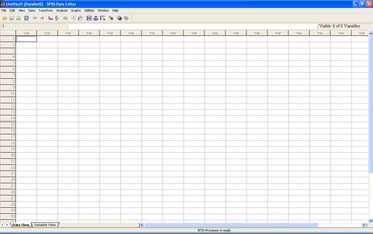 Ο EDITOR ΤΟΥ SPSS Όταν ανοίγουµε το SPSS, βλέπουµε τον Editor του SPSS (SPSS Data Editor), ο οποίος