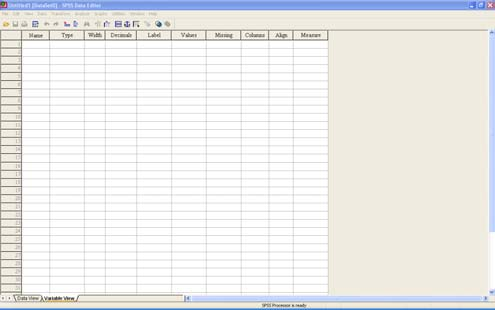 Στον SPSS Data Editor µπορούµε να έχουµε προβολή και επεξεργασία τόσο των δεδοµένων επιλέγοντας Data View