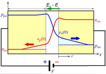 Ορθή πόλωση Οι οπές που εγχέονται στην περιοχή n επανασυνδέονται με ηλεκτρόνια και χάνονται. Τα ηλεκτρόνια που εγχέονται στην περιοχή p επανασυνδέονται με οπές και χάνονται.