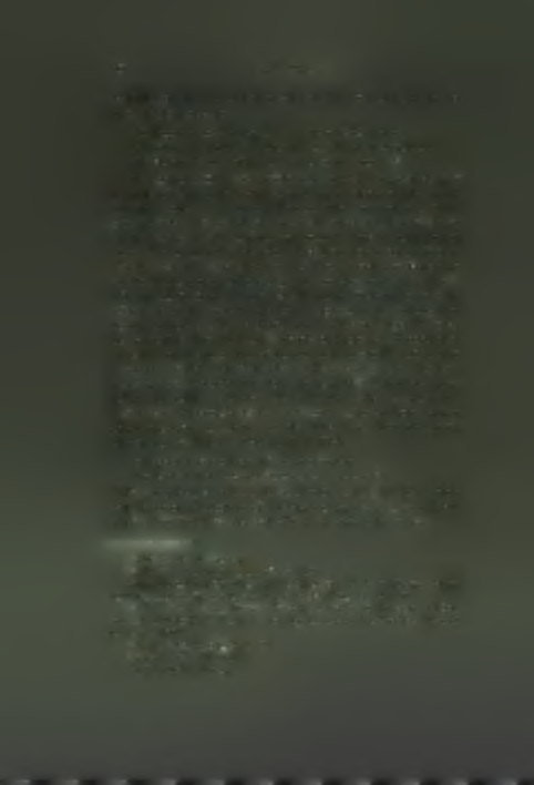 The building of the coastal defences may have produced the beautiful love - song The Red-lipped Maiden for the Frankish armada watched for can only be a perversion, in the wishes of the people, of