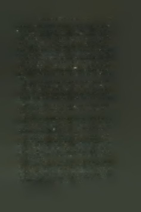 And whether the meaning «pistol» is Kriaris s own mistake, or, more likely, a popular mistake crystallised by him, the fact remains that Patron a in old Italian meant «a pouch», and in the Venetian
