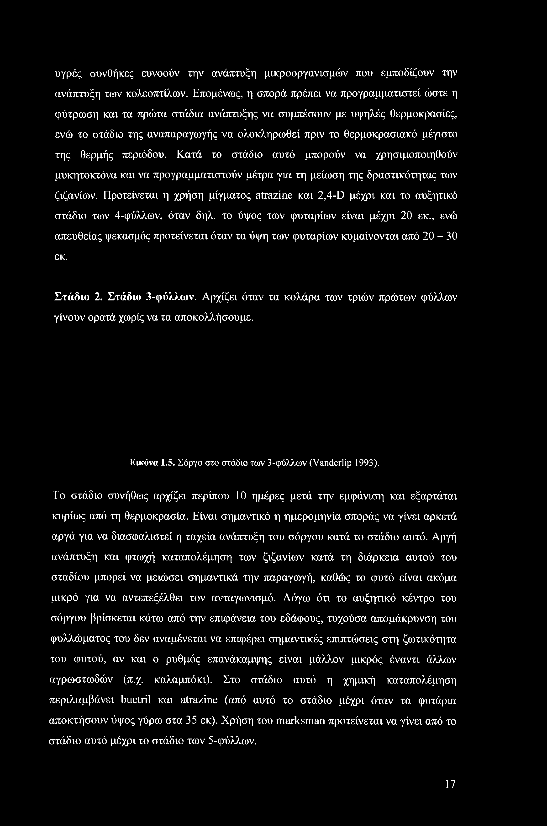 μέγιστο της θερμής περιόδου. Κατά το στάδιο αυτό μπορούν να χρησιμοποιηθούν μυκητοκτόνα και να προγραμματιστούν μέτρα για τη μείωση της δραστικότητας των ζιζανίων.